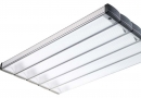DLS MultiLight v8